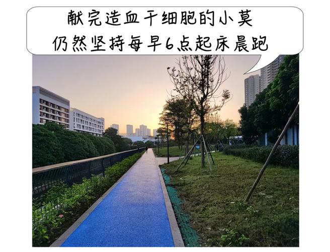 献血免晨跑和体育课