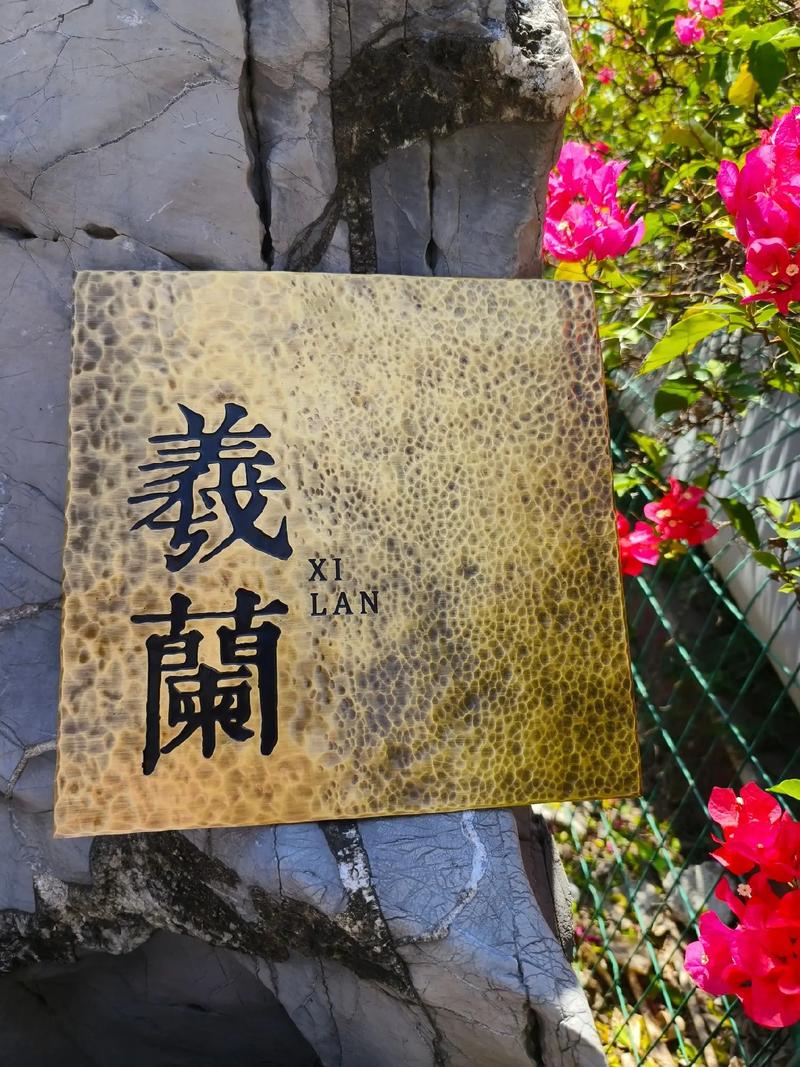 2025新澳门王中王正版和弄错门牌新房被拆光与弄错门牌新房被拆光了怎么办