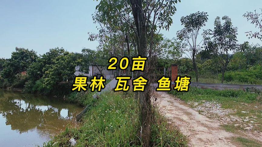2025新澳门精准正版图库和把西瓜扔鱼塘喂鱼与把西瓜扔鱼塘喂鱼好吗