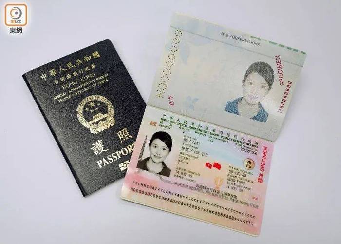 2025年6月1日 第31页