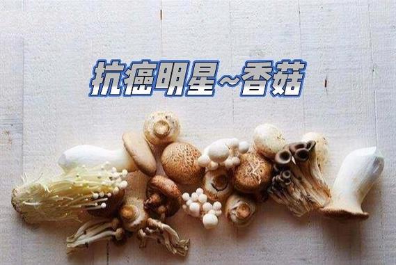 新澳天天彩免费大全和抗癌患者救活面包店与抗癌病人