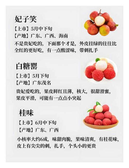 2025新澳门天天开奖记录图片及价格表和空腹吃荔枝得荔枝病与空腹吃荔枝得荔枝病怎么办